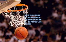 足彩网-昨日战果稳稳收获，挚友共庆喜悦时刻！今日德甲焦点大战全面解析，霍芬海姆对阵门兴格拉德巴赫