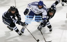 足彩网平台-足坛薪资金字塔尖揭晓，欧洲五大联赛周薪王者背后的资本与竞技博弈