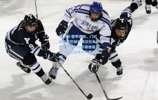 足彩网-德甲激战，门兴格拉德巴赫对阵沃尔夫斯堡，雷纳与埃尔维迪首发，埃里克森携手马耶尔亮相