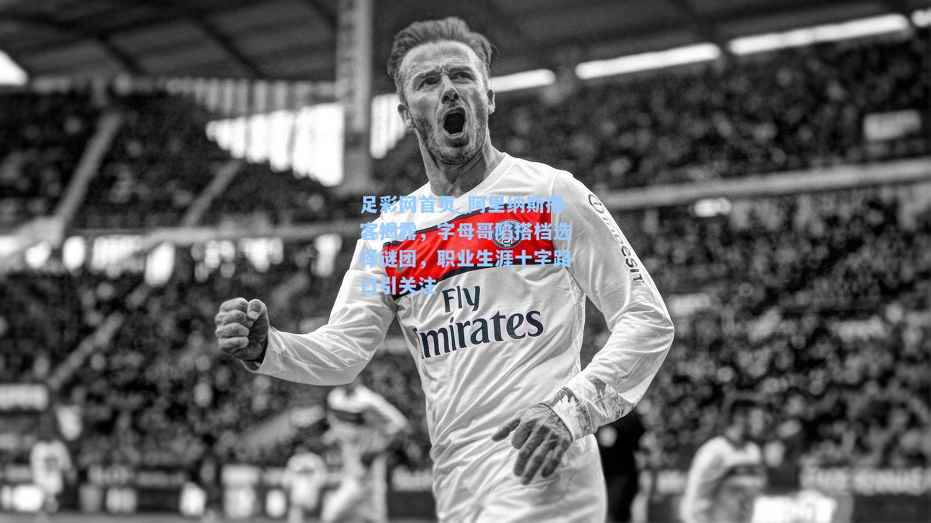 阿里纳斯播客揭露，字母哥陷搭档选择谜团，职业生涯十字路口引关注