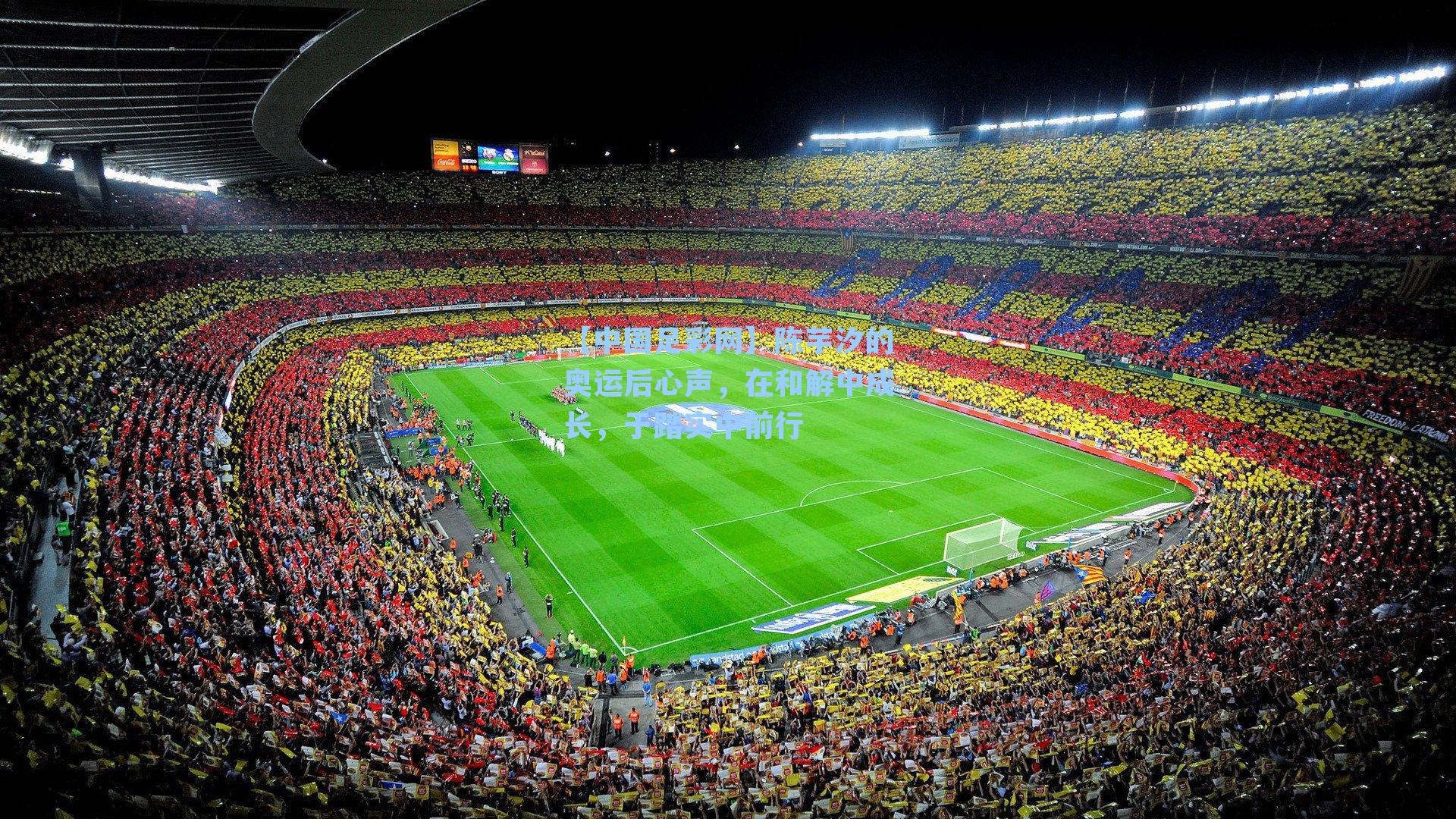 陈芋汐的奥运后心声,在和解中成长,于踏实中前行